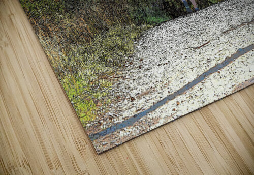  Walking the Forest Trails in the Scottish Highlands                                                                                                                     Catriona Roberts Nature Photography and Designs puzzle