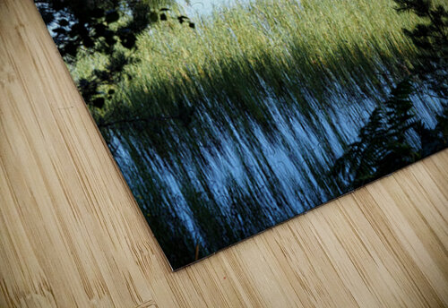   Forest Reflections on Loch Morlich                                                                                                                    Catriona Roberts Nature Photography and Designs puzzle