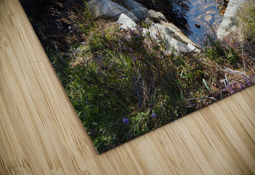 Scottish Highlands Tranquil Forest Stream                                                                                                                      Catriona Roberts Nature Photography and Designs puzzle