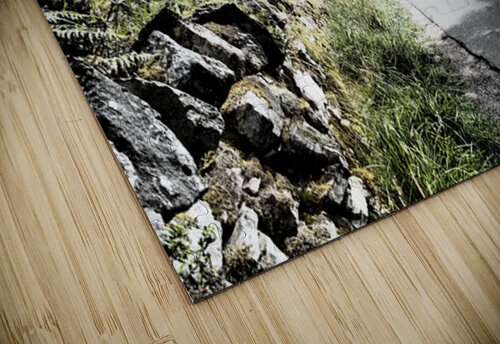 Summer Cycling in the Scottish Highlands                                                                                                                      Catriona Roberts Nature Photography and Designs puzzle