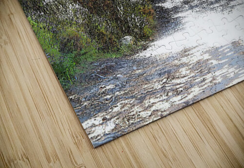   Trail Runner in the Scottish Highlands                                                                                                                     Catriona Roberts Nature Photography and Designs puzzle