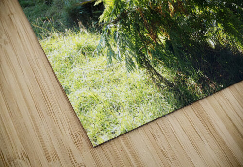 Summers Bridge in the Scottish Highlands                                                                                                                      Catriona Roberts Nature Photography and Designs puzzle