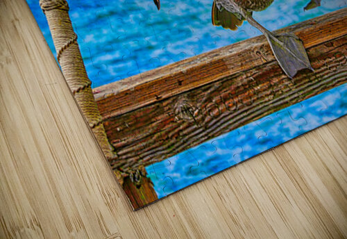 HABOR PELICAN  Charles Herchert puzzle