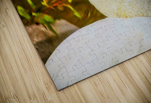 ELEGANT BIRD Charles Herchert puzzle