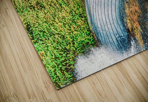 HUMPBACK WHALE Charles Herchert puzzle