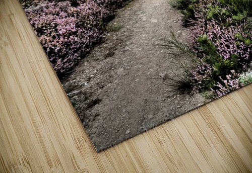   The Scottish Highlands Trail Before Us                                                                                                                    Catriona Roberts Nature Photography and Designs puzzle