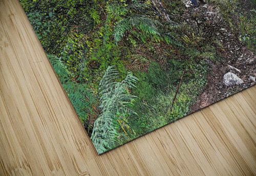 Scottish Hiker in a Birch Forest                                                                                                                      Catriona Roberts Nature Photography and Designs puzzle