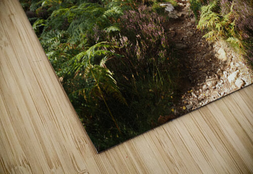 Scottish Highlands Serene Birch Woodland                                                                                                                        Catriona Roberts Nature Photography and Designs puzzle