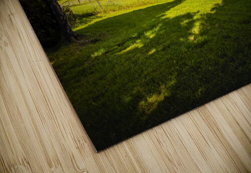 Blue Ridge  Peaks of Otter Mountain  Farm Foothills Norma Brandsberg Photography puzzle