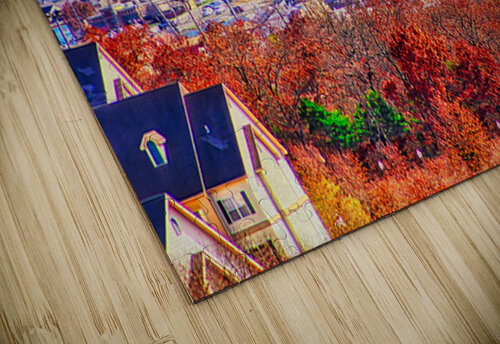 MAGICAL CITY  Charles Herchert puzzle