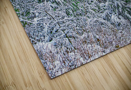 SOUTHERN WINTER  Charles Herchert puzzle