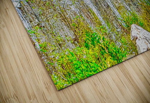 ICE SCULPTURES  Charles Herchert puzzle