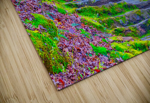 FOREST STAIRCASE  Charles Herchert puzzle