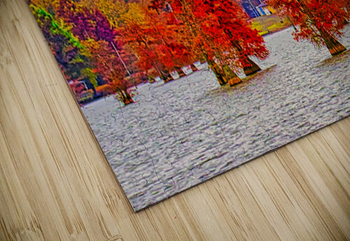 RIVER TREES   Charles Herchert puzzle