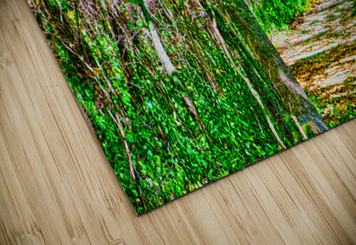 NATIVE FOREST  Charles Herchert puzzle