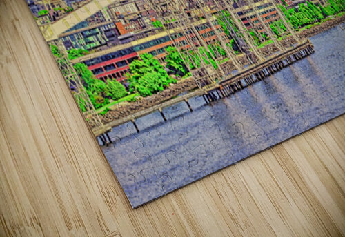SEASITE CITY   Charles Herchert puzzle