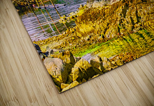 BEARING SEA  Charles Herchert puzzle