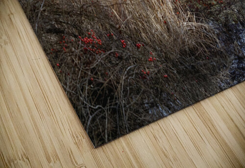 Serene Woodland Marsh Winter Berries Norma Brandsberg Photography puzzle