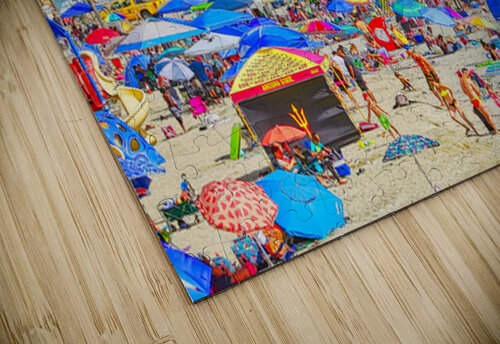 SANDY SEA SHORE Charles Herchert puzzle