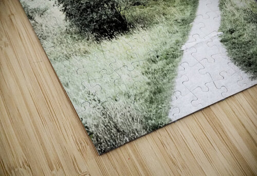 Scottish Highlands Serene Forest Pathway                                                                                                                       Catriona Roberts Nature Photography and Designs puzzle