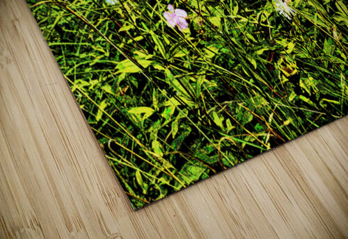 Vibrant  Wildflowers  by a Rustic Fence                                                                                             Catriona Roberts Nature Photography and Designs puzzle