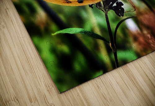 Feeding in the Light George Baines Photography   Connection in Moments of Light puzzle