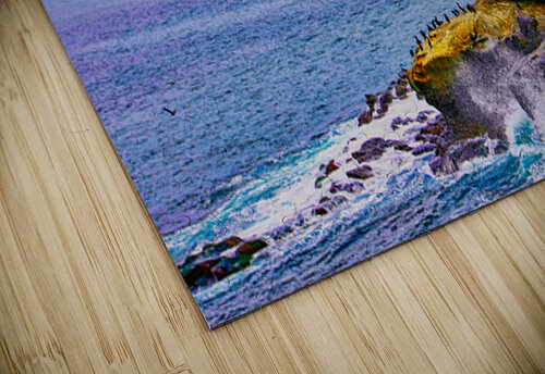 HIDDEN SEACOVE Charles Herchert puzzle