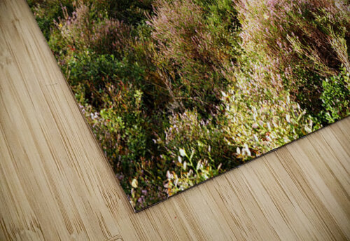  Scottish Highlands Tranquil Woodland Landscape                                                                                  Catriona Roberts Nature Photography and Designs puzzle