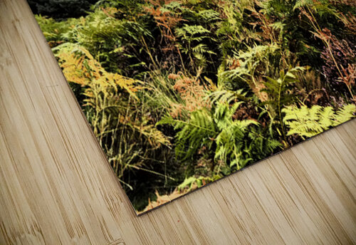 Scottish Highlands Dramatic  Sky Landscape                                                                                                     Catriona Roberts Nature Photography and Designs puzzle