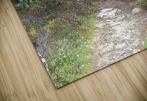  Scottish Highlands Birch Tree Walk                                                                                                                     Catriona Roberts Nature Photography and Designs puzzle