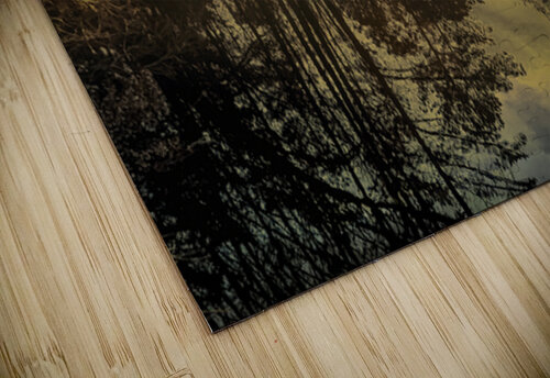 Francis Marion National Forest  at Dusk Norma Brandsberg Photography puzzle