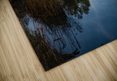  National Forest Tranquil Reflections Norma Brandsberg Photography puzzle