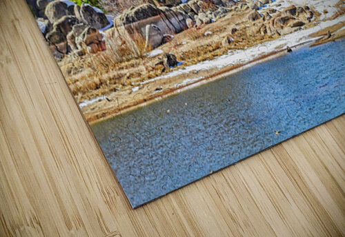 BIG BEAR MOUNTAIN  Charles Herchert puzzle