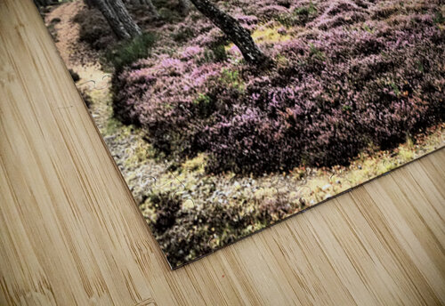  Scottish Highlands Mixed Forest and the Heather                                                                                                                     Catriona Roberts Nature Photography and Designs puzzle