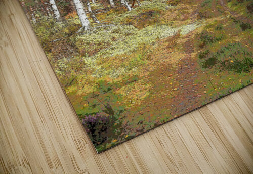 Scottish Highlands Serene Forest Pathway                                                                                                                      Catriona Roberts Nature Photography and Designs puzzle
