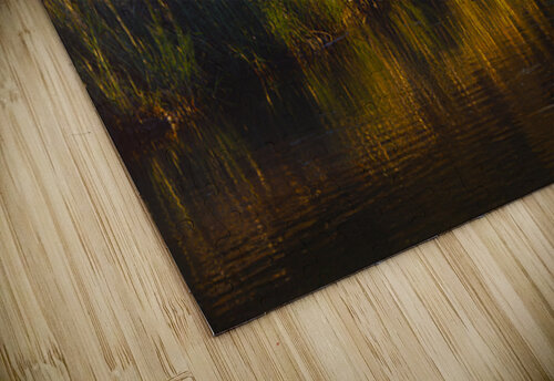 National Forest in Autumn Norma Brandsberg Photography puzzle