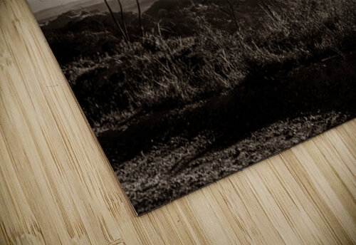 Only in My Dreams Norma Brandsberg Photography puzzle