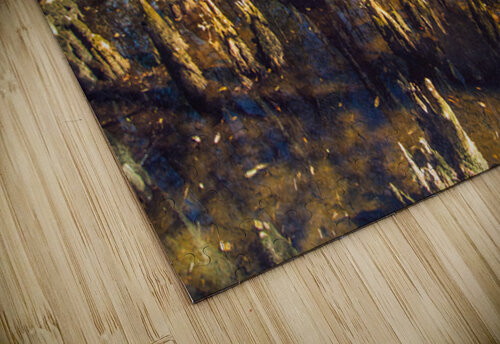 Mysterious Cypress Swamp Norma Brandsberg Photography puzzle
