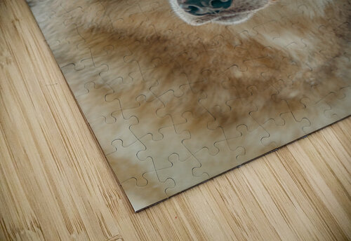 Le Loup Doux TC Prises d Images puzzle