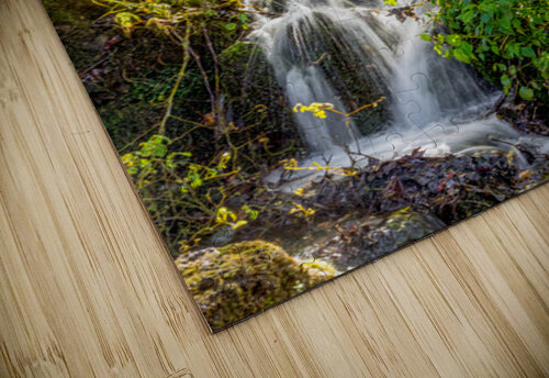 Rustic Falls At Reeds Spring Mill Jennifer White puzzle