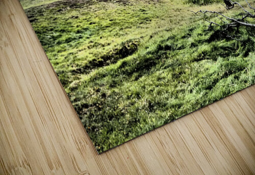  Scottish Highlands Peaceful Countryside                                                                                                                     Catriona Roberts Nature Photography and Designs puzzle