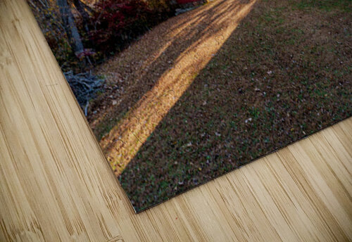 Timeless Mill Ozarks Landmark Jennifer White puzzle