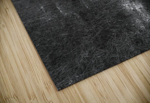 Quiet Forest Reflections Norma Brandsberg Photography puzzle