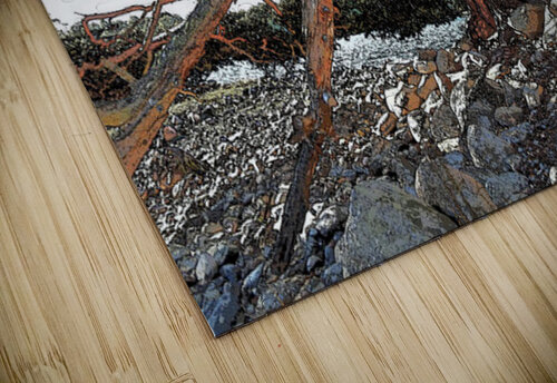 Majestic Pine by Loach Vaa                                                                                                                      Catriona Roberts Nature Photography and Designs puzzle