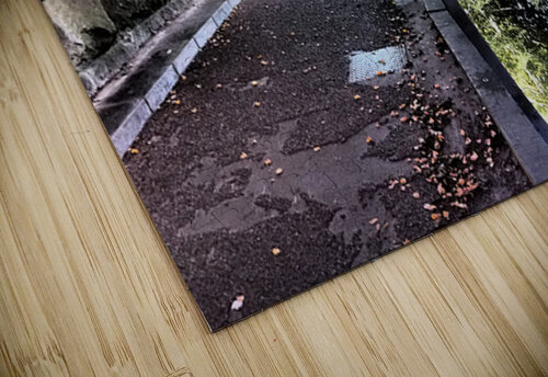 Abstract Graffiti Tunnel                                                                                                                      Catriona Roberts Nature Photography and Designs puzzle