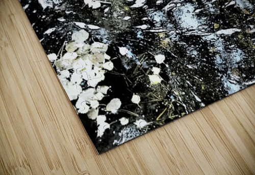 Eddies in Forest Stream                                                                                                                      Catriona Roberts Nature Photography and Designs puzzle