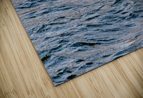 White Pelican with fish in pouch and fin showing Lisa von Biela puzzle