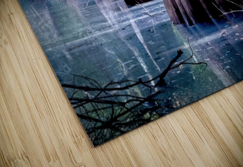 State Park Cypress Trees at Sunrise Norma Brandsberg Photography puzzle