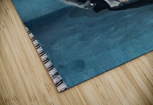 Skull on blue Isaiah Nicol puzzle