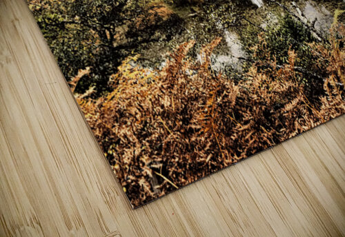 Serene Reflections by Loch Vaa                                                                                                                      Catriona Roberts Nature Photography and Designs puzzle